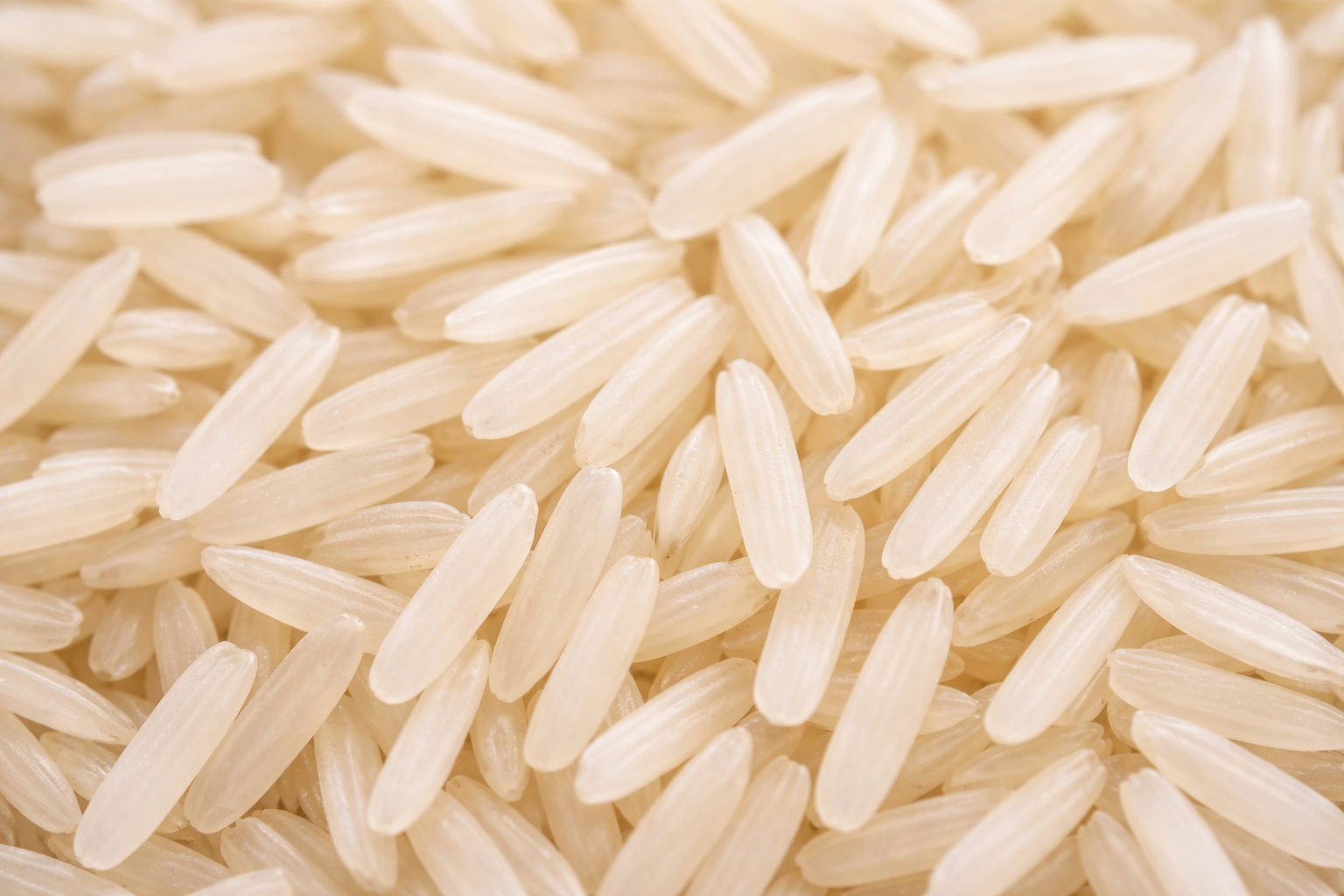 1121 Basmati Rice