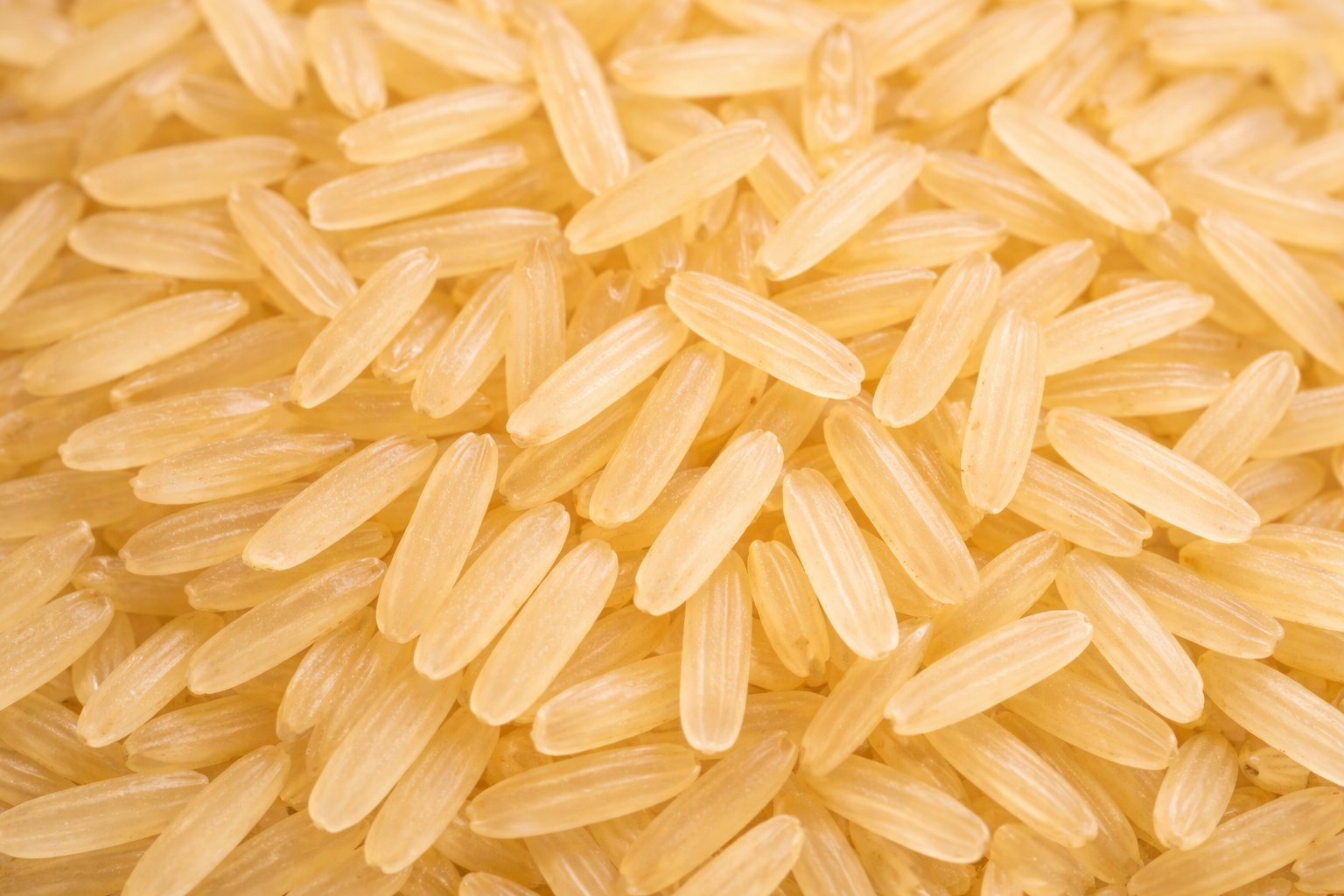 1509 Basmati Rice